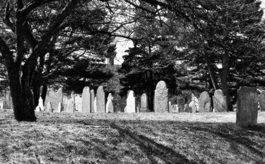 鬼宅探秘:达克罗撒庄园异闻录