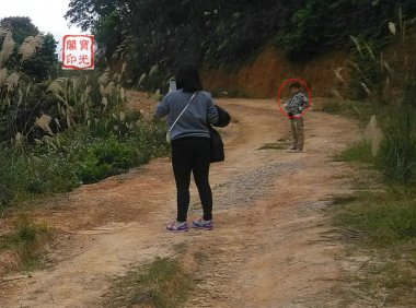 精彩灵异仙姑岭 之二：可爱山灵伴游程