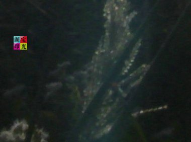 精彩灵异仙姑岭之三：灵光异彩有乾坤