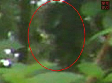 花花世界里的黑恶与英侠