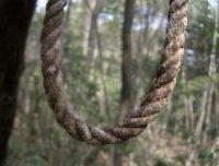 日本真实灵异案例——自杀森林