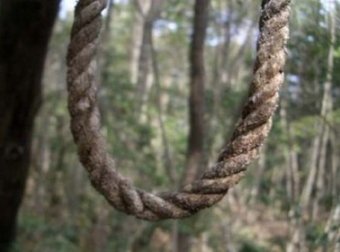 日本真实灵异案例——自杀森林