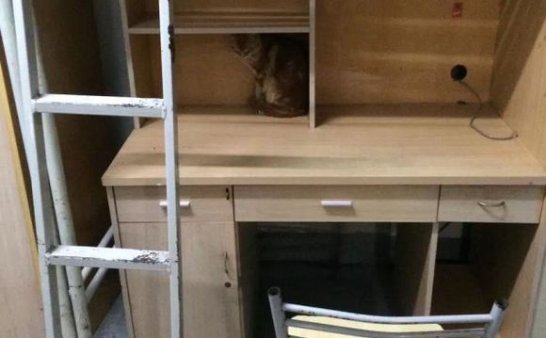 星期五灵异事件，上图