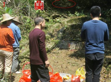 丛林里偷瞧扫墓的小精灵们