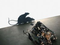 窗户上老鼠的影子