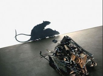 窗户上老鼠的影子