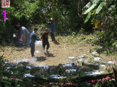 原生态林诸神灵