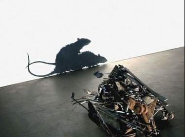 窗户上老鼠的影子