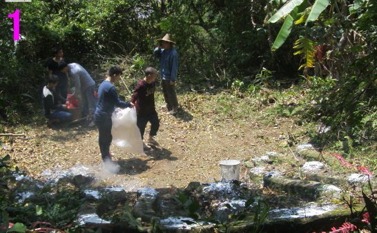 原生态林诸神灵