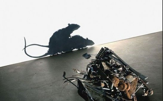 窗户上老鼠的影子