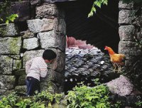 看不见他——一个关于捉迷藏的灵异事件