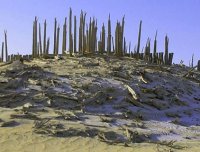 神秘的“小河墓地”:小河墓地六大未解之谜