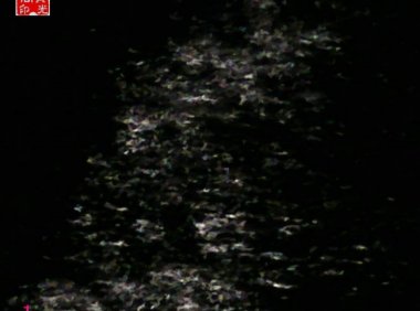 万灵大会（之一）