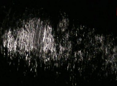 万灵大会(之二)