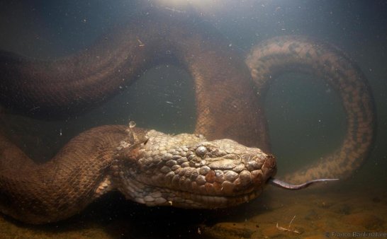 从未干涸的水库