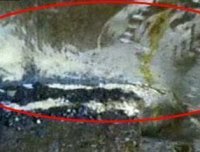 香港狐仙杀人事件