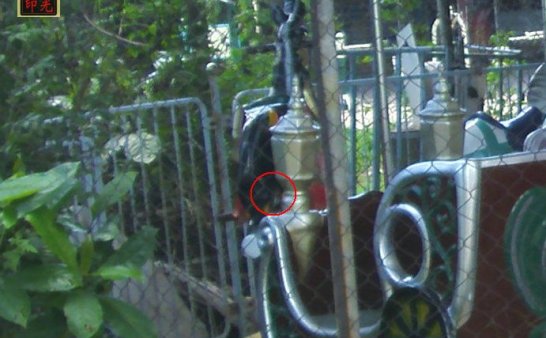 公园游乐棚内恶相女鬼