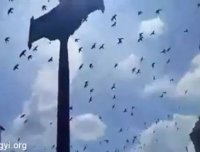 泰国国王驾崩 王宫上空惊现诡异现象