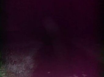 晚上去捉知了幼虫拍到的灵异照片