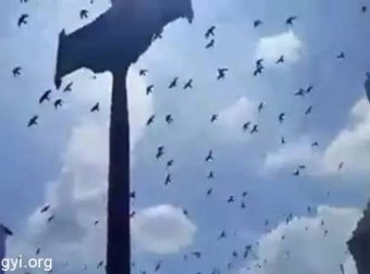 泰国国王驾崩 王宫上空惊现诡异现象