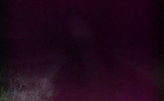 晚上去捉知了幼虫拍到的灵异照片