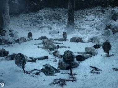 一夜消失的村子