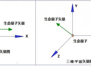 走进场生命世界 第二十六章 人体中的量子生命