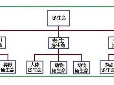 走进场生命世界 第三章 场生命的存在