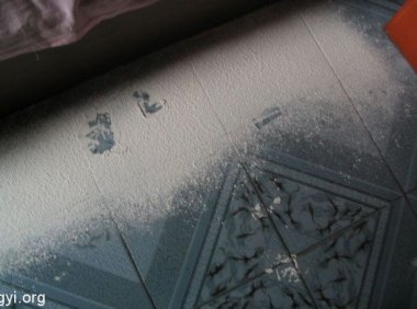 走进场生命世界 第六章 场生命重量的测试