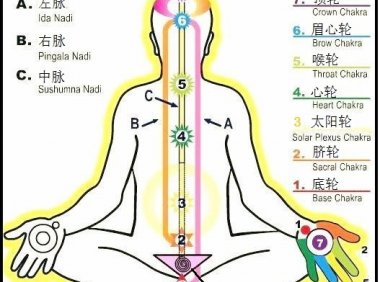 走进场生命世界 第十章  场生命的能量中心