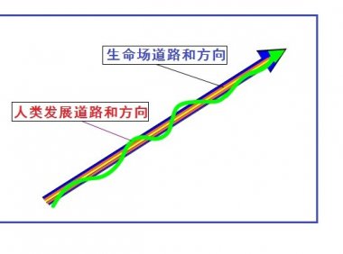 走进场生命世界 第十四章 场生命的遗承（下）
