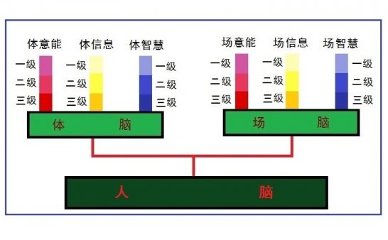走进场生命世界 第十四章 场生命的遗承(中)