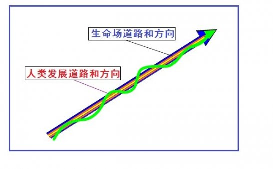 走进场生命世界 第十四章 场生命的遗承(下)