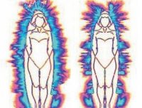 走进场生命世界  第十九章  揭开人们死亡的奥秘