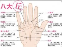 3分钟即可断你是什么命，反正我相信了