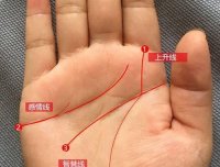 一个人生命线乱说明了什么？操心命还是命不好？