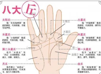 3分钟即可断你是什么命，反正我相信了