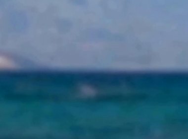 超震撼,俄罗斯惊现巨型蜘蛛爬高楼