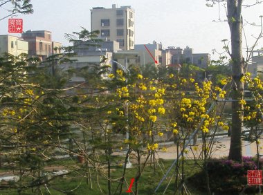 农场自然生态园灵异拍摄之一:快乐花仙子