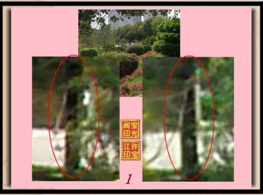 曙光农场自然生态园灵异拍摄之三:轻轻转脸、美人嘴