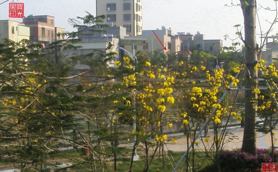 农场自然生态园灵异拍摄之一:快乐花仙子