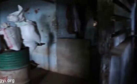 灵异,深山井里的女鬼爬进来了