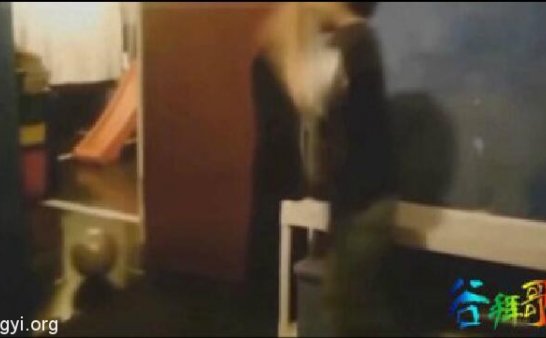 家中的球莫名其妙的动了起来,小男孩当场吓懵