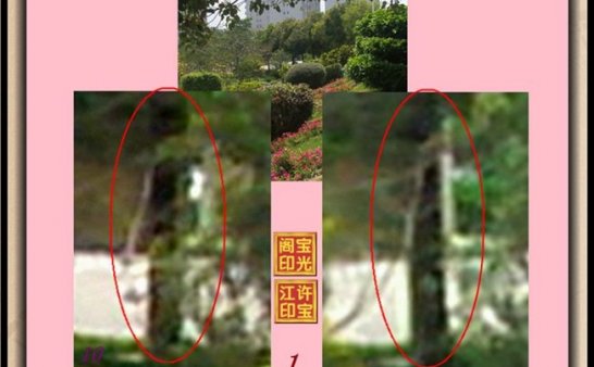 曙光农场自然生态园灵异拍摄之三:轻轻转脸、美人嘴