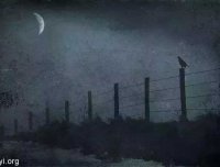 在美国上夜班可能会遭遇一些匪夷所思的灵异事情