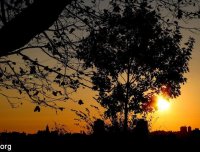 12岁之前据说阴阳眼处于半开状态，黄昏时候会碰到灵异事