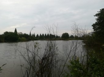 三轮车上的诡影