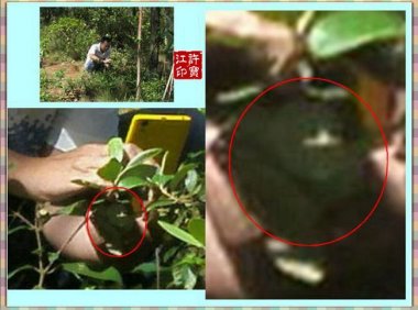 请为我的朋友祈祷