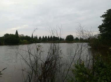 三轮车上的诡影