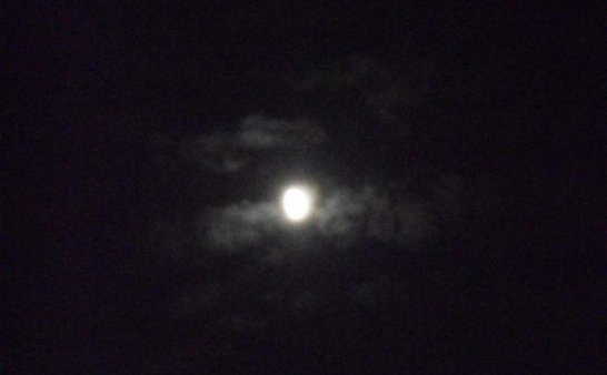 挖挖以前的照片